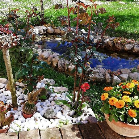 La Ginestra Acomodação com café da manhã Sirolo Exterior foto