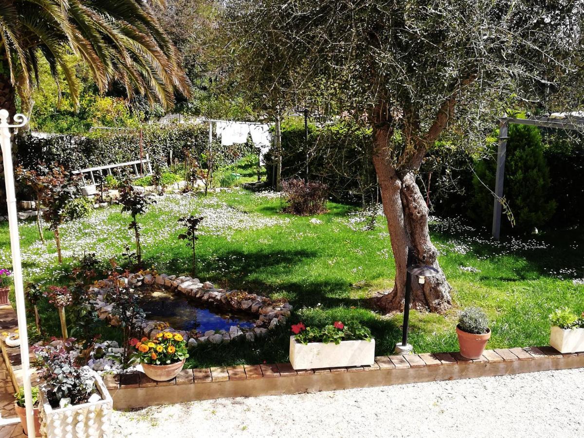 La Ginestra Acomodação com café da manhã Sirolo Exterior foto